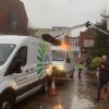 The tree being lit up in Exmouth