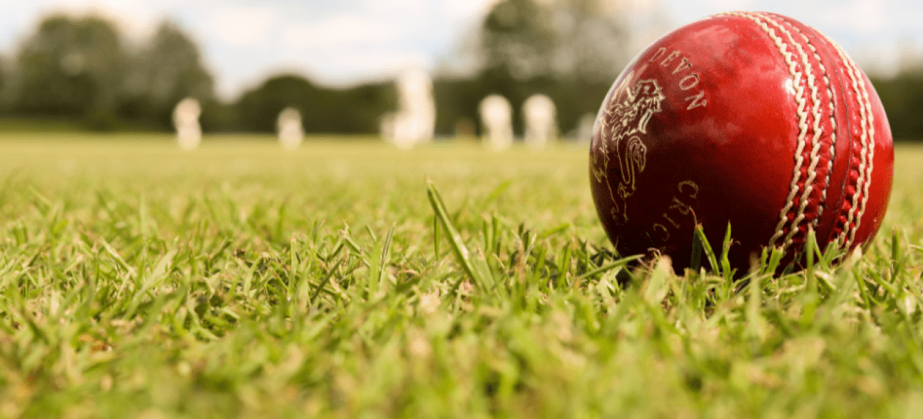 Cricket ball in field