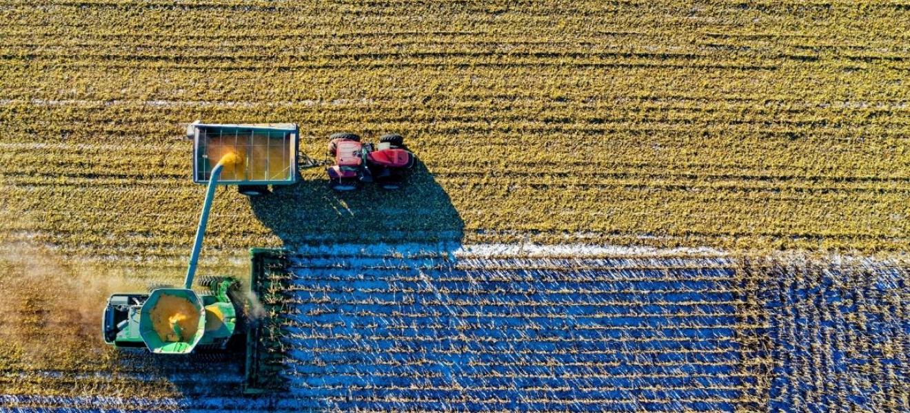 With agriculture is becoming increasingly tech-focussed, digital skills are increasingly important in the sector With agriculture is becoming increasingly tech-focussed, digital skills are increasingly important