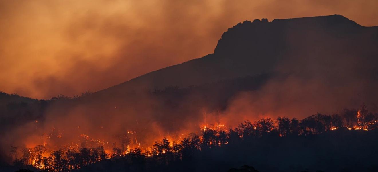 A wildfire in a forest at night