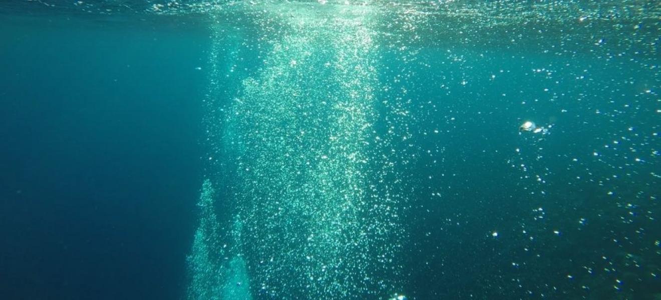 Underwater Underwater