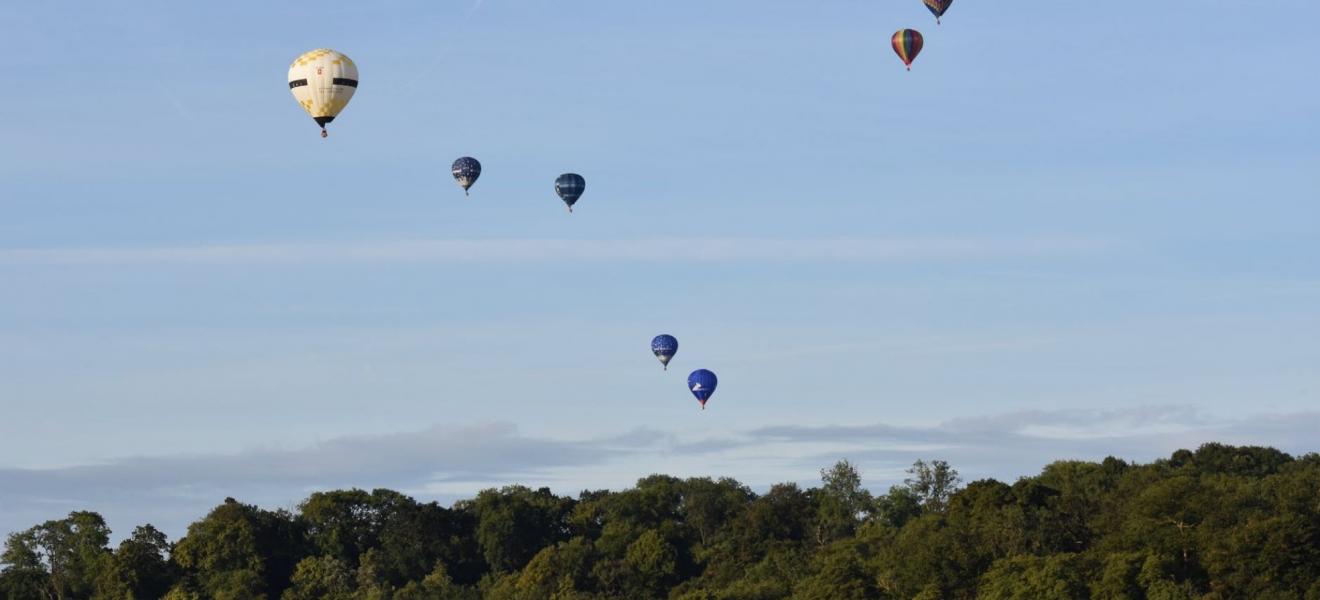 Balloons in the sky