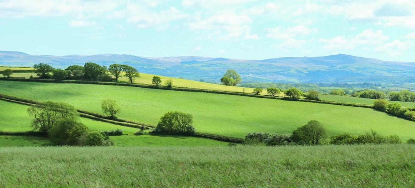 Natural Capital, what it means for business and how it can help organisations reach their net zero ambitions Natural Capital, what it means for business and how it can help organisations reach their net zero a
