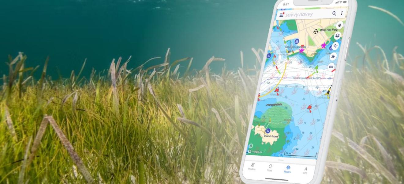 The savvy navvy app The savvy navvy app