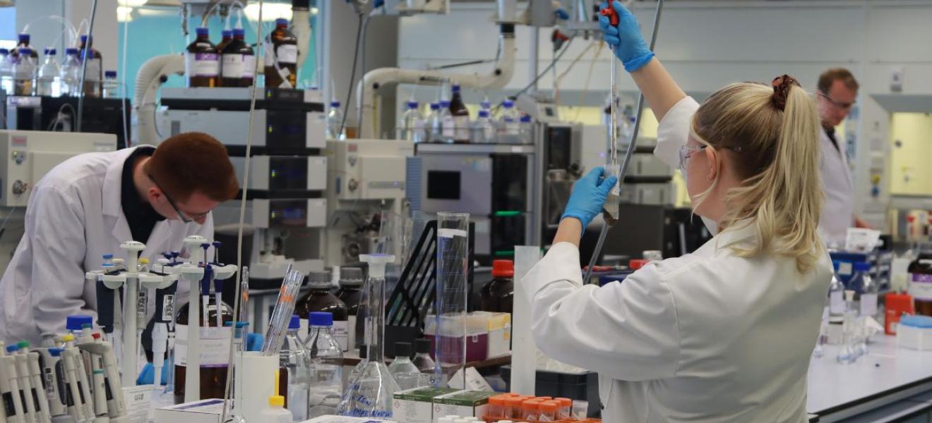 People working in a lab People working in a lab