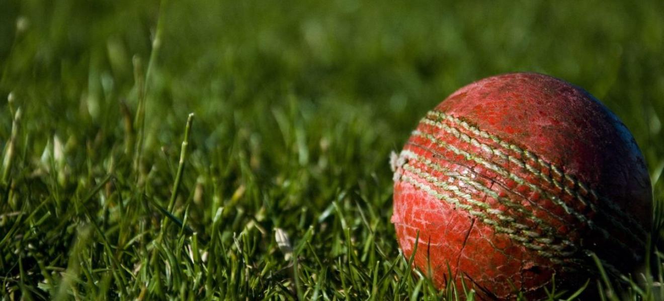 Cricket ball Cricket ball