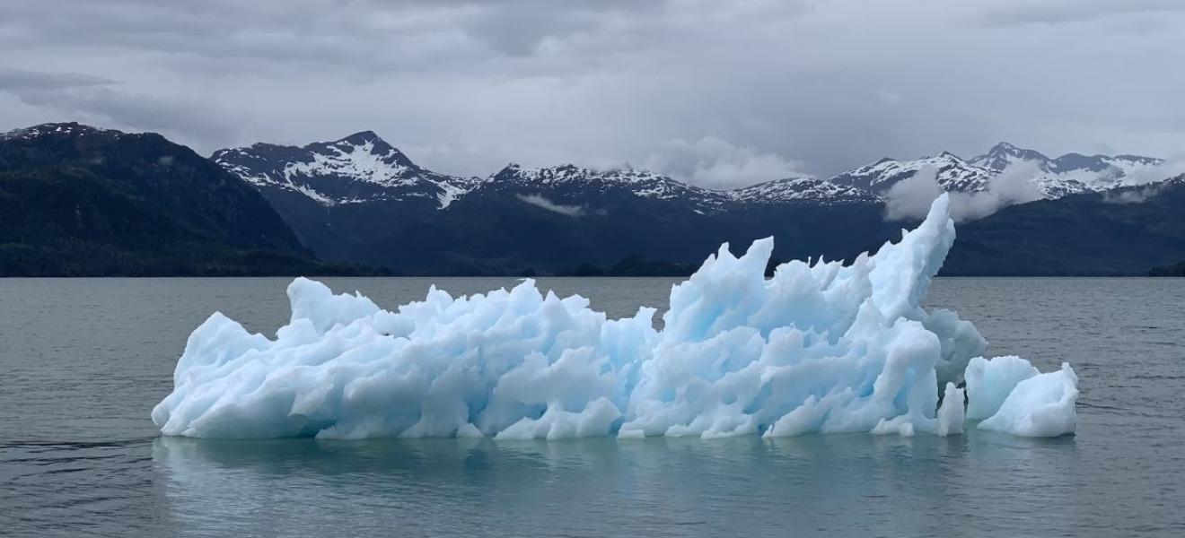 Iceberg Iceberg