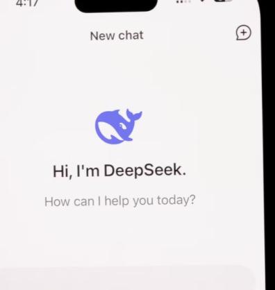 DeepSeek