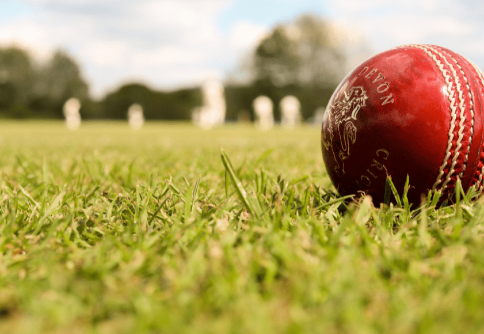 Cricket ball in field 