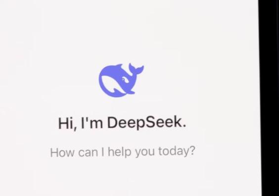 DeepSeek