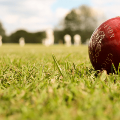 Cricket ball in field 