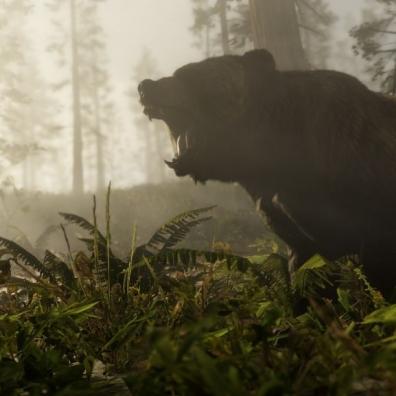 A bear in Red Dead Redemption 2