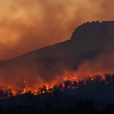 A wildfire in a forest at night