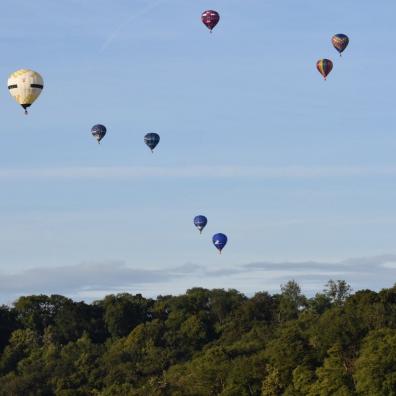 Balloons in the sky