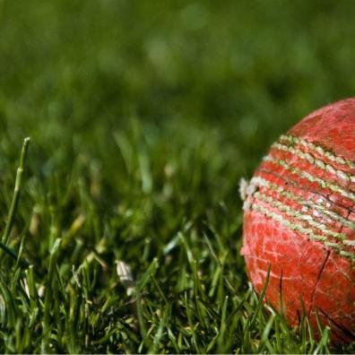 Cricket ball